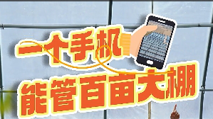 百姓看聯播丨在雄安，一個手機能管百畝大棚